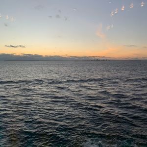 Meet your Posher, Antonio